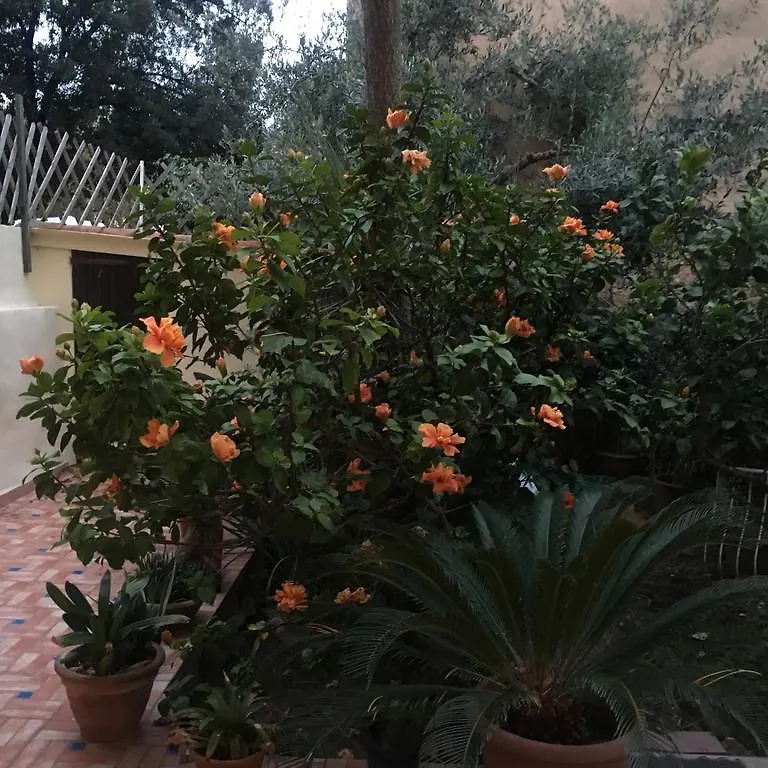 Apartmán Carrer Dels Horts Alghero